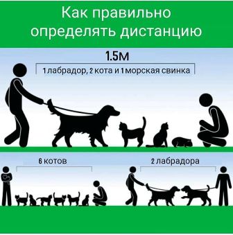 Новогиреевцев призвали соблюдать социальную дистанцию
