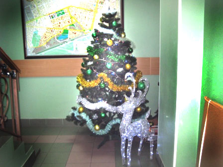 Глава муниципального округа Новогиреево призвал не выбрасывать ёлки, а сдавать их на спецпункты