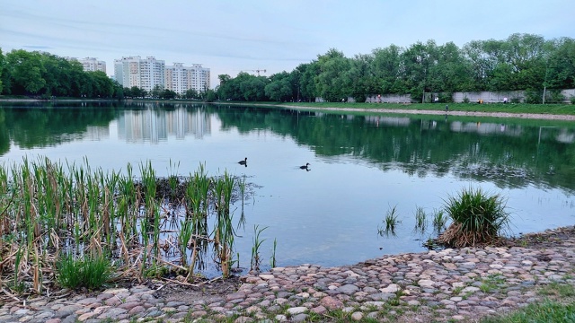 Большой Перовский пруд и зона отдыха возле него преобразятся к следующему лету