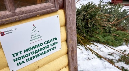 Новогиреевцы примут участие в акции «Ёлочный круговорот»