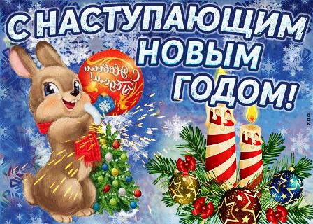 Глава МО Новогиреево Владимир Чикунов поздравил жителей с наступающим Новым годом