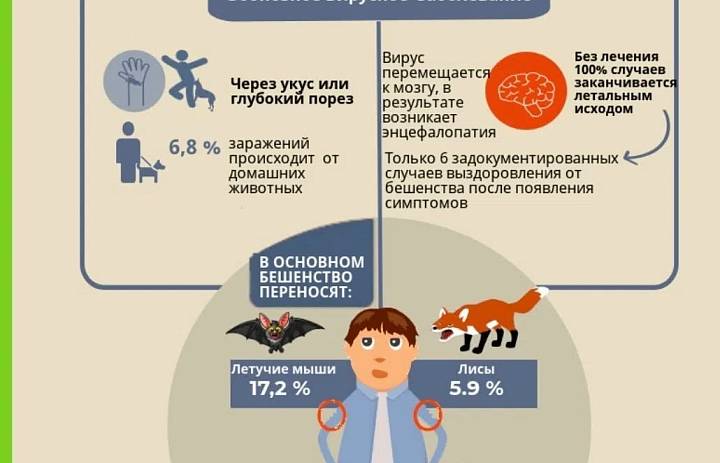 Жителям района Новогиреево разъяснили о необходимости вакцинации домашних животных