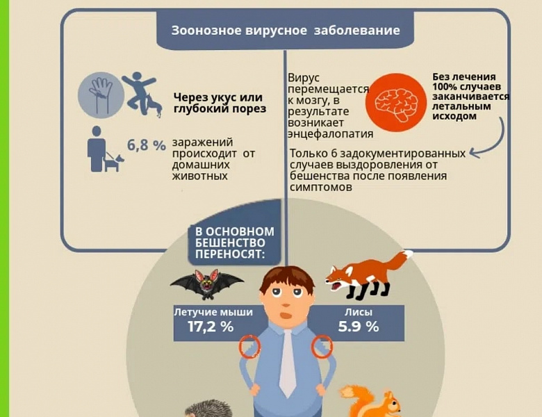 Жителям района Новогиреево разъяснили о необходимости вакцинации домашних животных