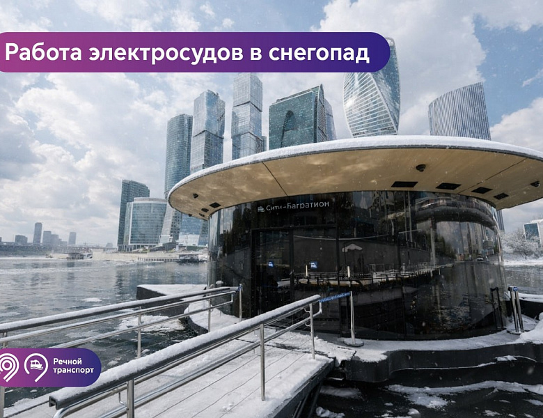 Новогиреевцам рассказали об электросудах на Москве-реке