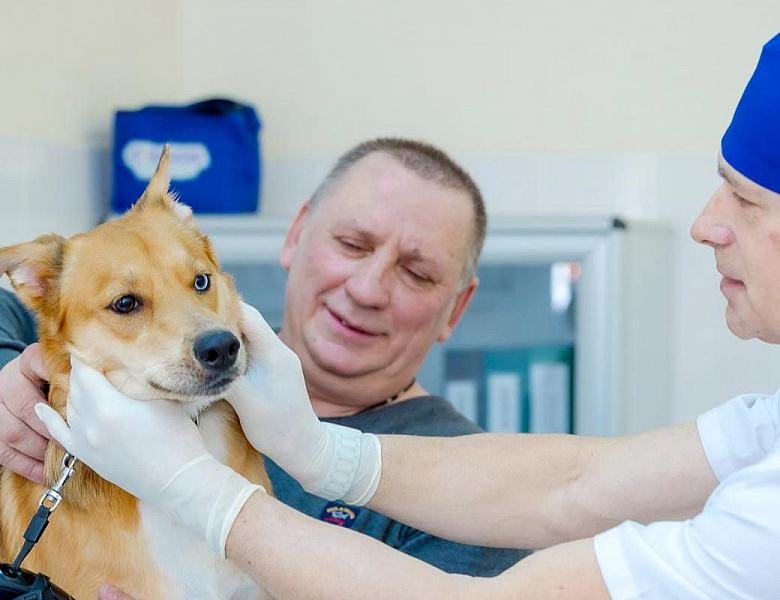 Москвичам стала доступна телеветеринария