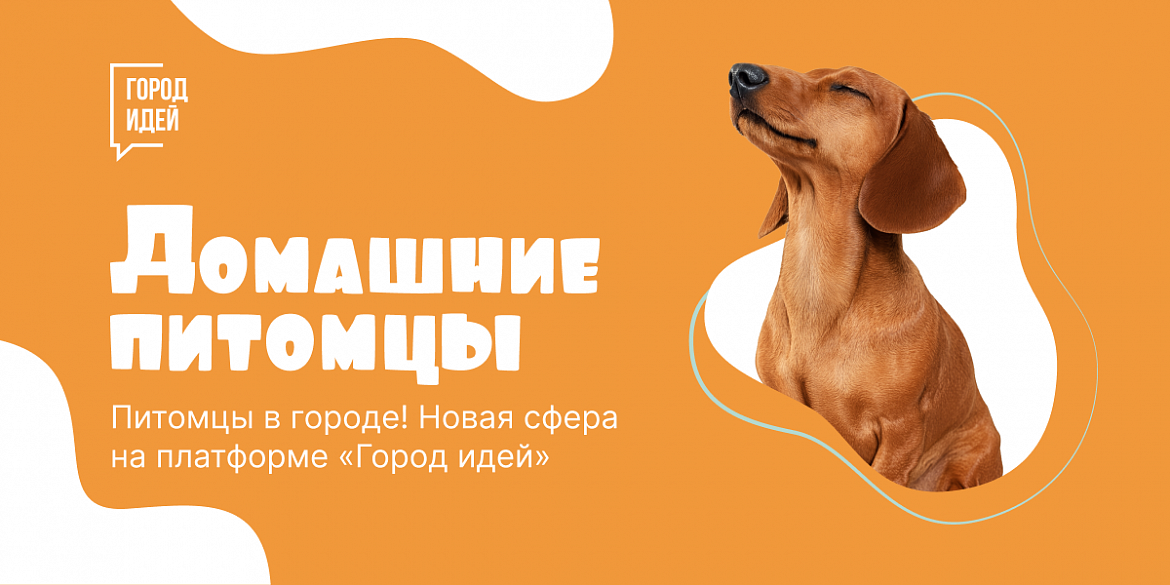 «Город идей» вместе с жителями мегаполиса сделает жизнь домашних питомцев комфортнее
