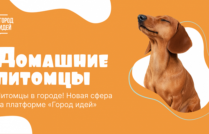 «Город идей» вместе с жителями мегаполиса сделает жизнь домашних питомцев комфортнее