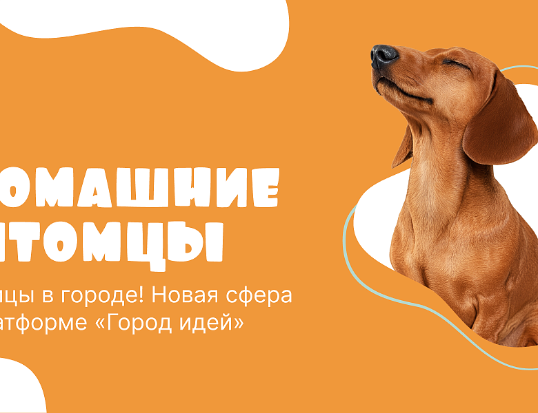 «Город идей» вместе с жителями мегаполиса сделает жизнь домашних питомцев комфортнее