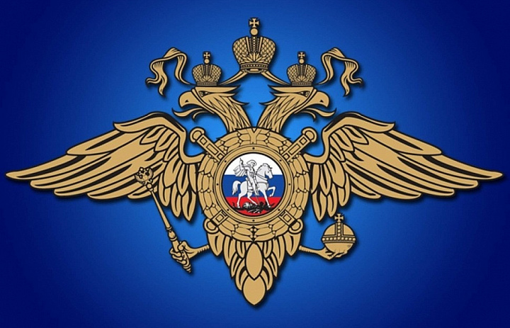 МВД России призывает граждан не поддаваться на провокации с призывами к совершению преступлений